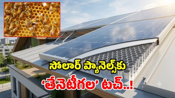 బరువు సగం.. బలం డబుల్.. సౌర విద్యుత్ రంగంలో ‘తేనెపట్టు’ మ్యాజిక్!