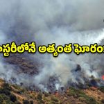 స్పెయిన్‌లో అగ్నితాండవం.. 12 మంది సజీవదహనం, రూట్ మారడమే ప్రాణం తీసిందా?