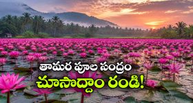 థ్రిల్లింగ్ కోసం బీపీ ఇంజెక్షన్లతో.. మత్తును ఎక్కించుకుంటున్నయువత.. ఎలానో తెలుసా!