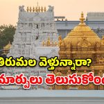 టీటీడీ బోర్డు సంచలన నిర్ణయాలు.. సామాన్య భక్తులకు గుడ్ న్యూస్.. దాతల దర్శనాల్లో కీలక మార్పులు!