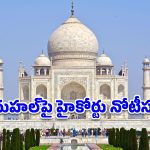 తాజ్‌మహల్ కింద ఉన్న రహస్యం ఏంటి? సమాధా.. శివాలయమా?