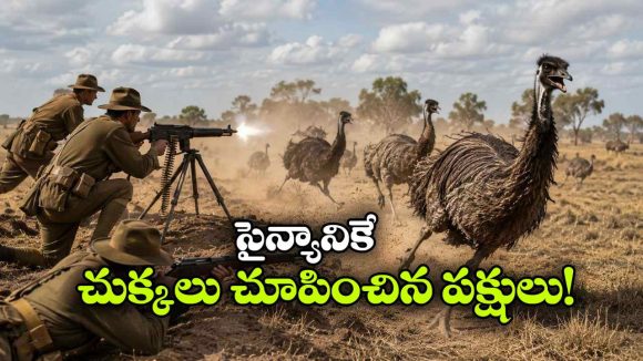 పక్షులతో యుద్ధం చేసి ఓడిపోయిన దేశం.. ఈ ఆసక్తికర చరిత్ర మీకు తెలుసా?