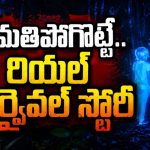 40 రోజులు నలుగురు పిల్లలు మిస్సింగ్… అమెజాన్ అడవుల్లో అదిరిపోయే అడ్వెంచర్