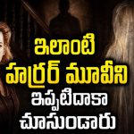 సూర్యరశ్మి పడితే వీళ్ళకి చావే… శృతి హాసన్ ఫేవరెట్ హర్రర్ మూవీ