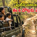 సినిమాలు, జూలో కాకుండా.. పులిని అడవిలో చూడాలా? ఈ ప్రాంతాలకు వెళ్లు మామ!