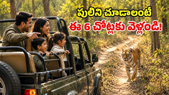 సినిమాలు, జూలో కాకుండా.. పులిని అడవిలో చూడాలా? ఈ ప్రాంతాలకు వెళ్లు మామ!