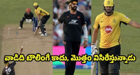 బొద్దింక గర్జన-శాశ్వతమేనా ?