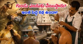 లారెన్స్ సరసన సాయి పల్లవి, జాన్వీ? .. 30వ సినిమాలో ఆ నలుగురు భామల హంగామా!