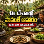 ఈ దేశాల్లో ప్రజలు పాములనే ఎందుకు తింటారు? సాంప్రదాయమా? ఆరోగ్యం కోసమా?
