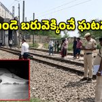 ఏవో శ్రీహరి హత్య కేసు.. నిందితుడు హరికృష్ణ కుటుంబంతో సహా ఆత్మహత్య