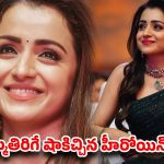 ఆ బ్రాండ్ పరువు తీసేసిన త్రిష…నెట్టింట వైరల్ పోస్ట్!