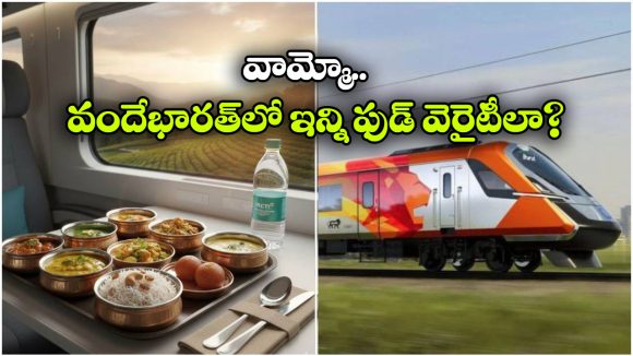 వందే భారత్ క్రేజీ ఫుడ్ మెనూ.. బ్రేక్‌ ఫాస్ట్ నుంచి డిన్నర్ వరకు ఎన్ని వెరైటీలు ఉన్నాయో తెలుసా?