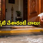 కీటకాలు, నెగటివ్ ఎనర్జీ మాయం.. ఇంటి మెయిన్ డోర్ వద్ద ఈ చిన్న ట్రిక్ ట్రై చేయండి!