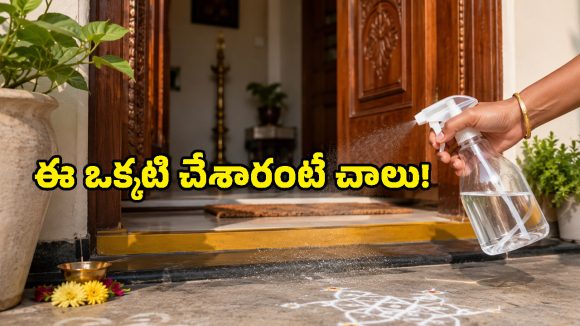 కీటకాలు, నెగటివ్ ఎనర్జీ మాయం.. ఇంటి మెయిన్ డోర్ వద్ద ఈ చిన్న ట్రిక్ ట్రై చేయండి!
