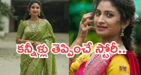 Janaki Parinayam Vishnu : 'జానకి పరిణయం ' విష్ణు జీవితంలో కష్టాలు.. కన్నీళ్లు పెట్టించే స్టోరీ..
