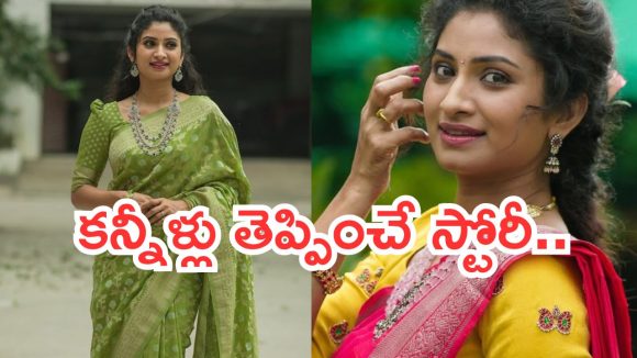 Janaki Parinayam Vishnu : ‘జానకి పరిణయం ‘ విష్ణు జీవితంలో కష్టాలు.. కన్నీళ్లు పెట్టించే స్టోరీ..