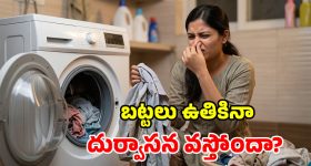 వాషింగ్ మిషన్‌లో బట్టలు ఉతికినా మురికిగా ఉన్నాయా? ఈ 5 తప్పులే కారణం!