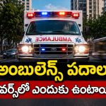 అంబులెన్స్‌ పదానికి అసలు అర్థం ఇదే, అలా పుట్టి.. ఇలా వాడుకలోకి వచ్చింది!