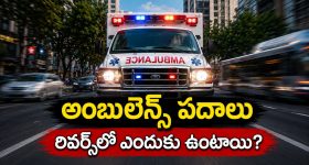 రెచ్చ‌గొట్టి ... తిట్టించుకుని! కేటీఆర్ స‌ర్వే డ్రామా బూమ‌రాంగ్‌!