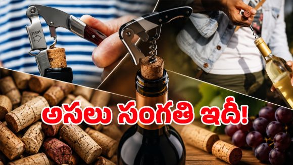 వైన్ బాటిల్‌కి స్క్రూ క్యాప్ ఉంటే నాసిరకమా? అసలు మూతకి, క్వాలిటీకి ఉన్న సంబంధం ఏమిటి!