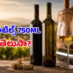 వైన్ బాటిల్స్ ఎప్పుడూ 750ml ఎందుకు ఉంటాయో తెలుసా? దీని వెనుక ఉన్న క్రేజీ హిస్టరీ తెలిస్తే..