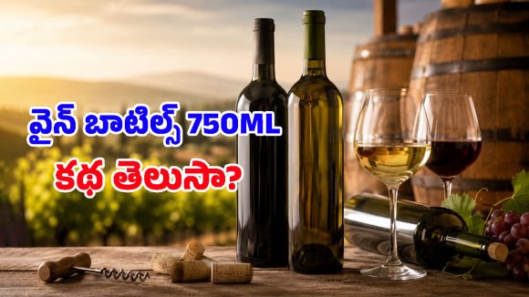 వైన్ బాటిల్స్ ఎప్పుడూ 750ml ఎందుకు ఉంటాయో తెలుసా? దీని వెనుక ఉన్న క్రేజీ హిస్టరీ తెలిస్తే..