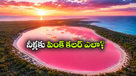 గులాబీ రంగులో మెరిసే సరస్సులు.. ఈ అందం వెనుక ఇంత కథ ఉందా?