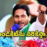 ఆయన చర్మం మందం.. దున్నపోతుపై వాన పడ్డట్లే.. చంద్రబాబుపై జగన్ ఫైర్!
