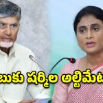 కేంద్రంపై ఒత్తిడి తేవాల్సిందే.. సీఎం చంద్రబాబుకు వైఎస్ షర్మిల 2 పేజీల లేఖ!