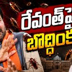 రేవంత్‌పై బీజేపీ బొద్దింక‌ల అస్త్రం.. రాజీనామా, విద్యాశాఖ మంత్రి.. స‌ర్కార్‌పై గురి!