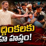 కాక్రోచులకు అండగా కాంగ్రెస్‌.. విద్యార్థి ఉద్య‌మాల‌కు వెన్నుద‌న్నుగా ఉంటాం!