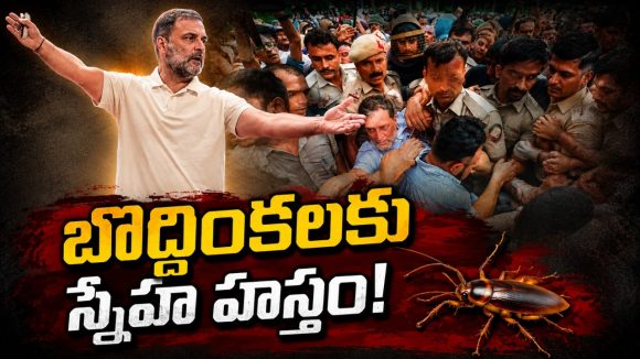 కాక్రోచులకు అండగా కాంగ్రెస్‌.. విద్యార్థి ఉద్య‌మాల‌కు వెన్నుద‌న్నుగా ఉంటాం!