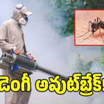 Dengue Preparedness: డేంజర్ జోన్‌లోకి తెలంగాణ.. ఈ సారీ ముందస్తు చర్యలు నిల్!