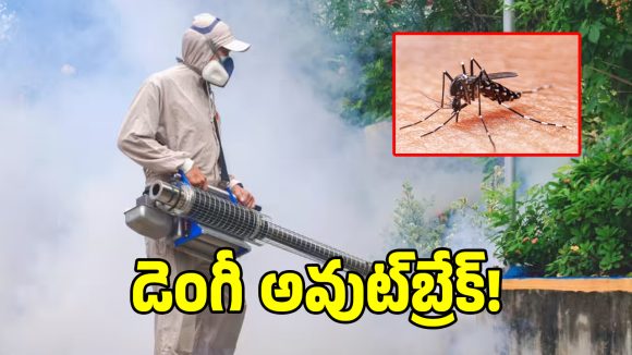 Dengue Preparedness: డేంజర్ జోన్‌లోకి తెలంగాణ.. ఈ సారీ ముందస్తు చర్యలు నిల్!