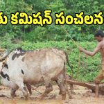 Rythu Commission: గిరిజన రైతులకు తెలంగాణ ప్రభుత్వం గుడ్ న్యూస్.. ఏళ్ల నిరీక్షణకు తెర!
