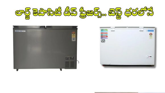 మీ బిజినెస్ సూపర్ సక్సెస్ కావాలా? ఈ కమర్షియల్ డీప్ ఫ్రీజర్స్‌పై ఓ లుక్కేయండి