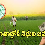 Rythu Bharosa: 5 నుండి 6 ఎకరాలున్న రైతు ఖాతాల్లోకి.. రైతు భరోసా నిధులు విడుదల!