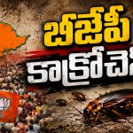 బీజేపీ నేత‌ల‌ది జెన్‌బీ మంత్రం… ఓటు బ్యాంకును సంతృప్తి ప‌రిచేందుకు తిక్క మాట‌లు త‌ప్ప‌వు మ‌రి!