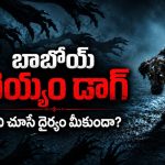 బేస్మెంట్ లోని సొరంగంలోకి ఆత్మలను లాక్కెళ్ళే దుష్టశక్తి… స్పైన్ చిల్లింగ్ హర్రర్ థ్రిల్లర్