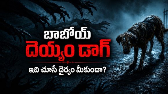 బేస్మెంట్ లోని సొరంగంలోకి ఆత్మలను లాక్కెళ్ళే దుష్టశక్తి… స్పైన్ చిల్లింగ్ హర్రర్ థ్రిల్లర్