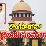 Sonam Bail: హనీమూన్​ హత్య కేసులో బిగ్ ట్విస్ట్.. నిందితురాలికి కోర్టు రెండు ఆప్షన్లు..?