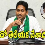 తెలిసో తెలియకో యాక్సిడెంట్ చేశాడు.. దీన్ని కుట్ర అంటున్నారు: జగన్