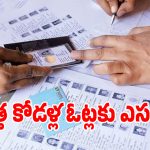 Voter List Revision: డబుల్ ఓట్లకు చెక్ పెట్టేలా.. ఎన్నికల సంఘం కొత్త యాప్ ఇదే!