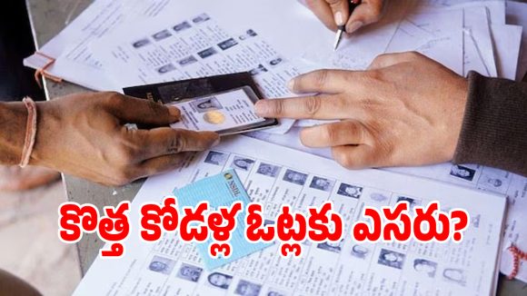 Voter List Revision: డబుల్ ఓట్లకు చెక్ పెట్టేలా.. ఎన్నికల సంఘం కొత్త యాప్ ఇదే!