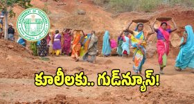 PF Accounts: 34 కోట్ల మందికి శుభవార్త.. పీఎఫ్ సభ్యులకు వడ్డీ జమ, ఆపై రూ.5 లక్షల వరకు