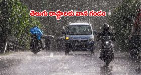 వర్షాకాలంలో ప్రకృతి అందాలను ఎంజాయ్ చేయడానికి 5 బెస్ట్ నేషనల్ పార్క్స్.. ఓ ట్రిప్ వేసేయండి