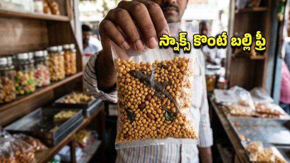 సిరిసిల్లలో ఘోరం.. బూందీ మిక్చర్‌లో బల్లి కళేబరం.. ప్రశ్నిస్తే యజమాని ఏం చేశాడో తెలుసా?
