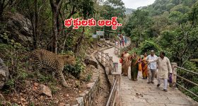 అస్తమా ఉన్నవారు వర్షాకాలంలో వీటికి దూరంగా ఉండాలి.. లేకపోతే ప్రాణాలకే ప్రమాదం