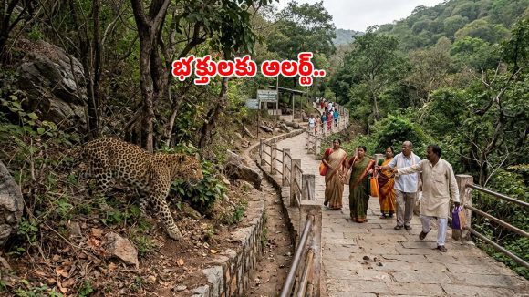 తిరుమల నడక మార్గంలో పులి కలకలం.. భయాందోళనలో భక్తులు, వైరల్ వీడియో
