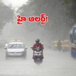 వాతావరణ శాఖ చల్లని కబురు.. వారం రోజుల పాటు దంచికొట్టనున్న వానలు.. ఆ జిల్లాలకు హై అలర్ట్!